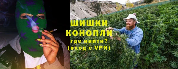 ГАЛЛЮЦИНОГЕННЫЕ ГРИБЫ Алзамай