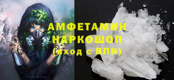 ГАЛЛЮЦИНОГЕННЫЕ ГРИБЫ Алзамай