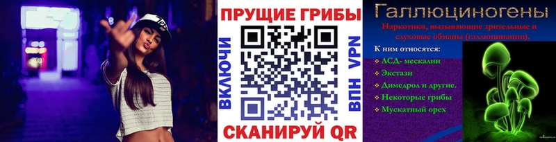Псилоцибиновые грибы Cubensis  Мегион 